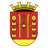 Skien Council